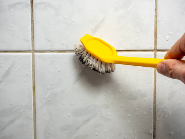 Best Mold Removal Near Me  in Madison, MS