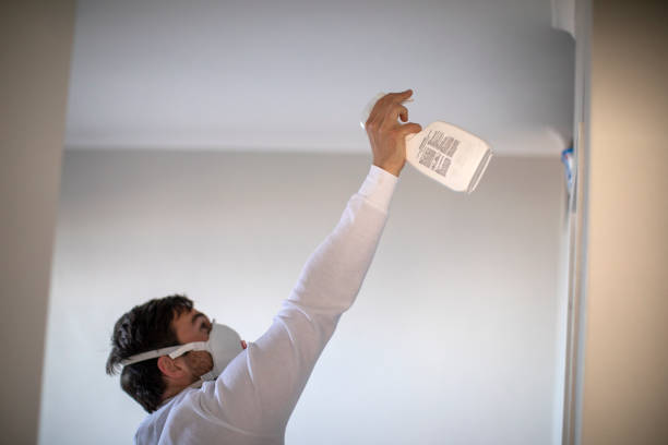 Certified Mold Removal in Madison, MS