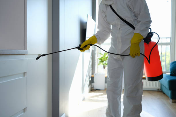Best Affordable Mold Removal  in Madison, MS