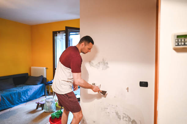 Best Emergency Mold Removal  in Madison, MS