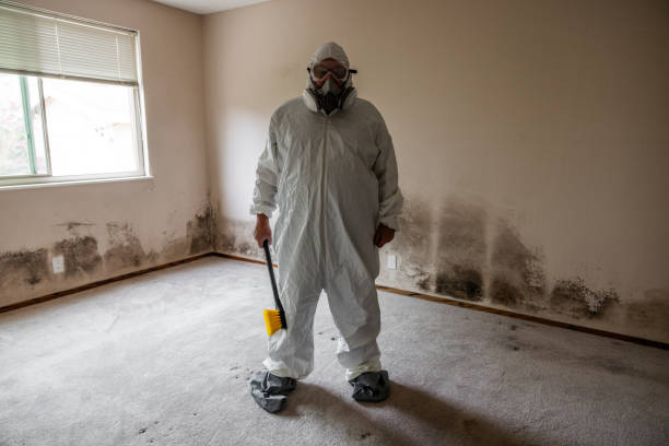 Best Mold Damage Repair  in Madison, MS